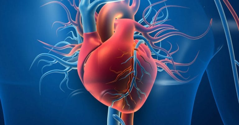 Cele mai frecvente boli cardiovasculare și cum să le previi Cele mai frecvente boli cardiovasculare și cum să le previi