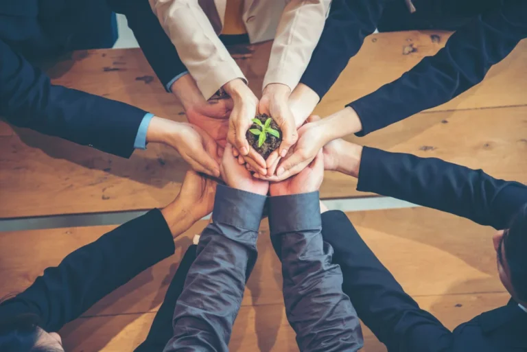 Ce înseamnă sustenabilitatea în business Ce înseamnă sustenabilitatea în business